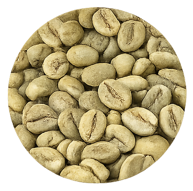 Premium Java Green Coffee Beans | Sustainable Coffee Supply - Aferro